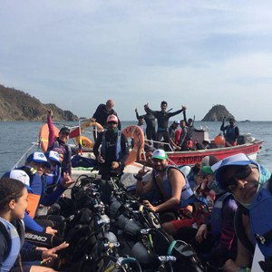 Santa Marta Reef Check 2018 Expedition Brings Together Colombian Divers ...